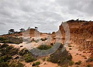 Broken Hill in Torrey Pines State Park