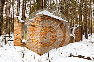 Broken house in winter pine forest