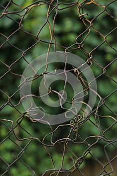 Broken iron wire fence on green background.