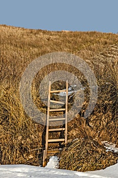 Broken Ladder Leaning Against a Hill