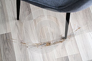 Broken Laminate Floor Damage