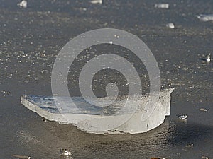 Broken large ice floes n bay against the Sun in a sunny spring