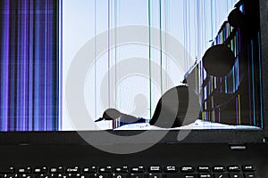 Broken LCD screen of laptop