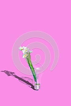 . Broken light bulb on a pink background with an inserted flower. The concept of creative ideas and environmental protection