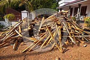 Broken long chunks of tree trunk. Close up broken pieces of wood. Pine timber wood chip. Broken into pieces and splinters tree