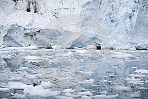 Broken melting pieces of ice at Antarctic peninsula, stunning icy scenery landscape in Antarctica