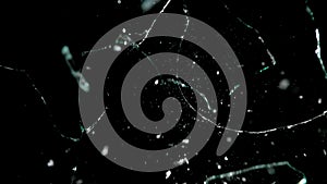 Broken mirror shattered in many pieces