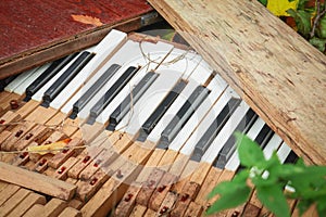 A broken musical instrument piano keys in a trash pile in green grass outdoors