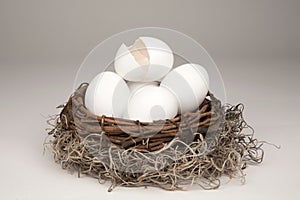 Broken Nest Egg Generic