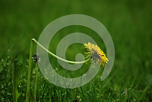 Broken but not broken