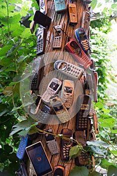 Broken old mobile phones nailed to tree