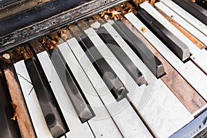 Broken Old Piano Keys