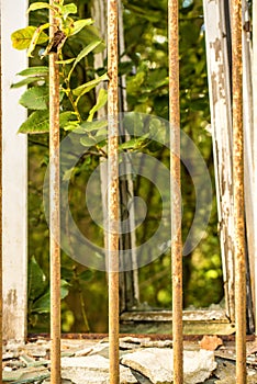Broken old window with grid and view to green