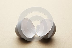 Broken open egg shell