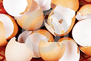 Broken Organic Brown Eggshells with copy space
