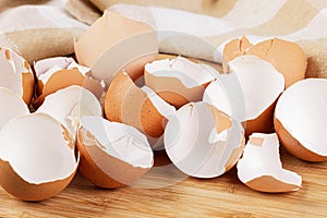 Broken Organic Brown Eggshells with copy space