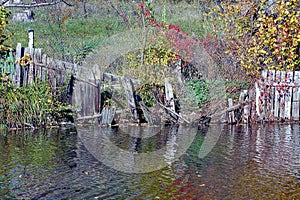 Broken overgrown wooden fence in vegetation in the water