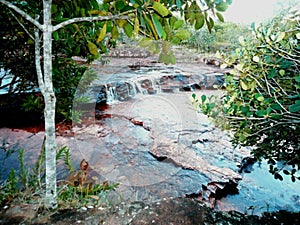 Cascada de Agua Laja Roja Parque Nacional Gran Sabana photo