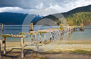 Broken Pier or bridge. Old wooden pillars of broken pier at Barnet Marine Park British Columbia