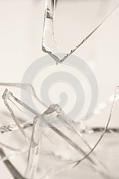 Broken Pilsner Glass