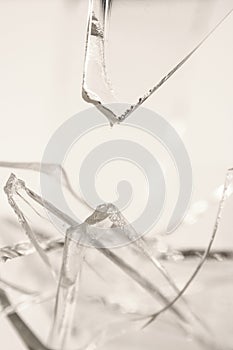 Broken Pilsner Glass photo