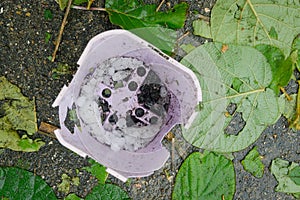 Broken plastic flower pot and leaves fallen to the ground