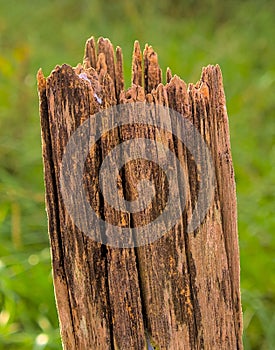 Broken post and eroded by weather