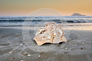 Broken pot on a beach