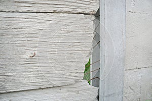 The broken prestressed concrete slabs are mounted to the prestressed concrete columns.