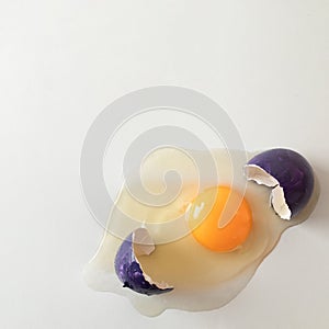 Broken purple eggshell with raw egg. Creative copy space on light background. Minimal Easter concept