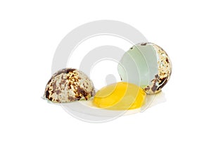 Broken quail egg