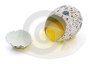 Broken quail egg isolated on white
