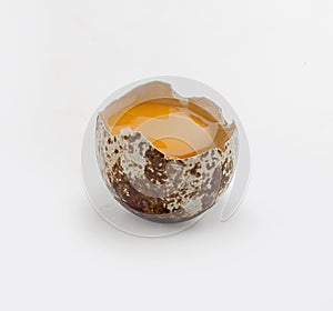 Broken quail egg