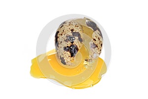 Broken quail egg.