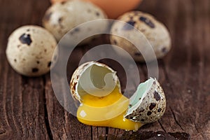 Broken quail egg with the leaked yolk