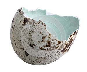 Broken quail egg shell isolated on white background