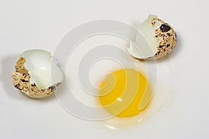 Broken quail egg with shell on the white plate