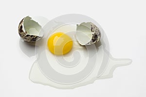 Broken quail egg with with shell and yolk