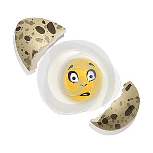 Broken quail egg with a surprised face, vector illustration