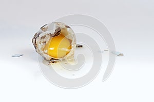 Broken quail egg on  white background