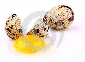 Broken quail egg on white background