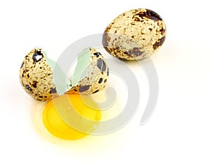 Broken quail egg on white background, close up