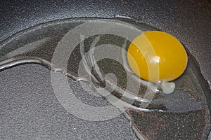 Broken raw chicken egg in a frying pan