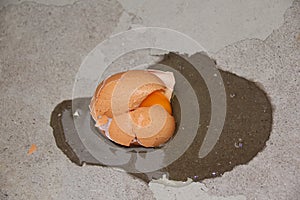 Broken raw egg lies on the dirty floor
