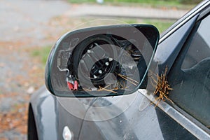 Broken rearview mirror of Car wreck