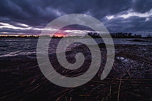 Broken reed cane sticks floating on top of river water in a view of dark cloudy sunset sky