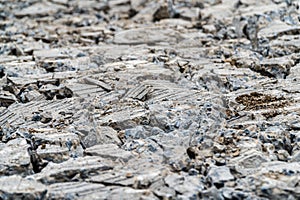 Broken Road crack Texture. After Construction drilled surface with jackhammer