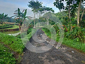 Broken road remote village