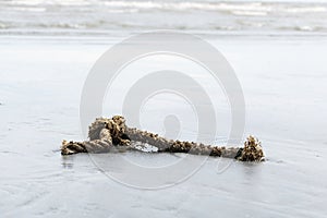 The broken rope is on the beach