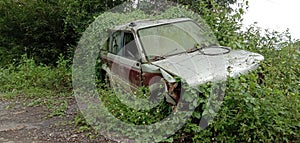 A Broken Rusty Worn Classic Car Abandoned On The Edge Of The Jungle